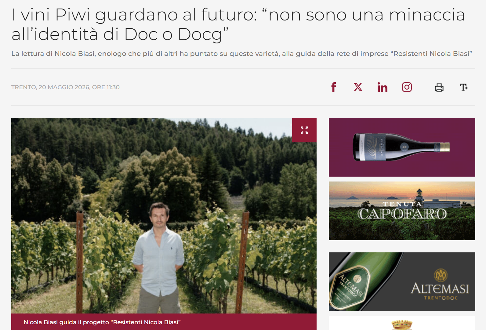 I vini Piwi guardano al futuro: “non sono una minaccia all’identità di Doc o Docg”