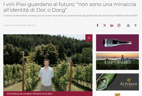 I vini Piwi guardano al futuro: “non sono una minaccia all’identità di Doc o Docg”